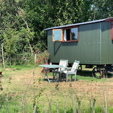 Bed and Breakfast Sindles Farm Емсворт Екстер'єр фото